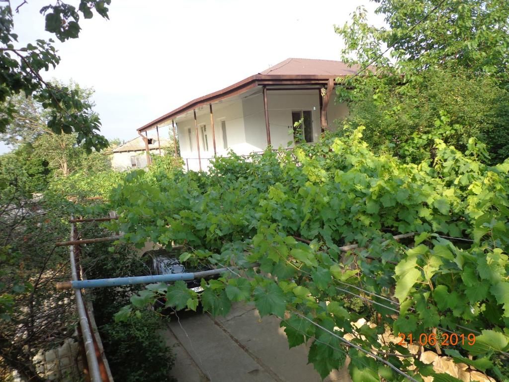 Гостевой дом Udabno My home Удабно-51